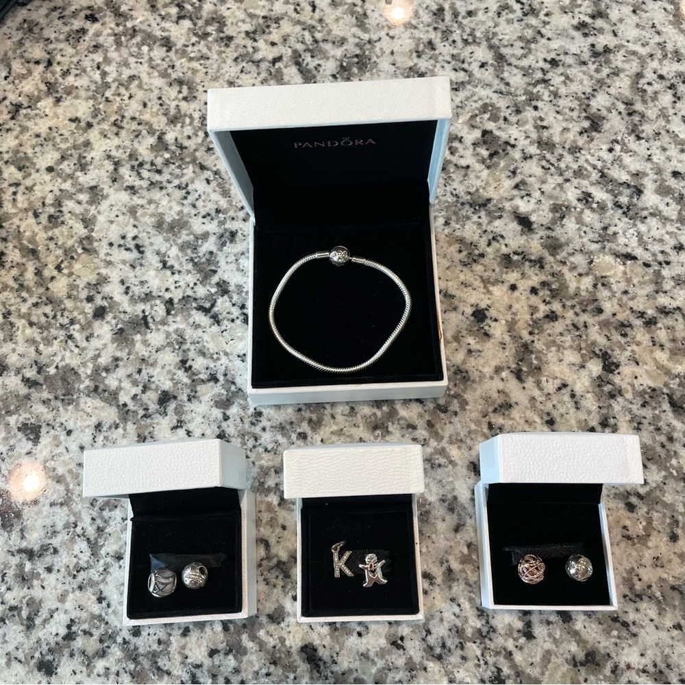 Pandora Charms